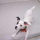 와와살롱 이미지