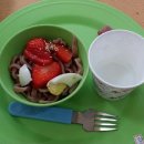 삼성영상체험방 | 고마워토토 삼성- 딸기 체험 후기