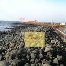 신산환해장성 이미지