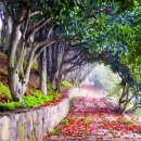 통영유람선터미널 이미지