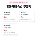 하나세탁 | 군산 애견동반 숙소 추천 호텔나운, 10키로 중형견 가능한 가성비 숙소