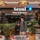 이아호텔 | 서울 데이트 코스 와인시음회 토카이아수 헝가리 와인 후기