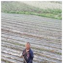 노고지리펜션 이미지