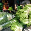 지수농원 이미지