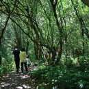 안덕버스정류장 이미지