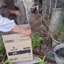 도천 김쌤댁 26년 5월 27일 이미지
