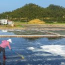 신안자동차 이미지