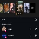 대전여인숙 | 머무름 | 최유리 부산콘서트 올콘 후기(+부산여행)