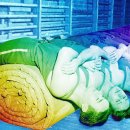 신세대스크린골프 이미지