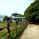 유년시절 이미지