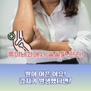 류마제통의원 이미지