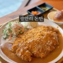 광안리 돈반 광안역 근처 경양식 돈까스