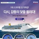 여행사합자 이미지
