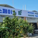 스페이스 팜