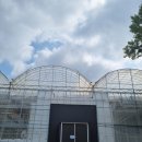 엘림랜드(주) | 울트라팜 엘림랜드 다녀온 후기 경기도 광주 아이와 가볼만 한 곳