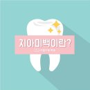 치아사랑치과 이미지