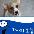 궁내동.궁안마을 이미지