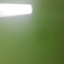 더조음