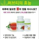 점핑도전다이어트