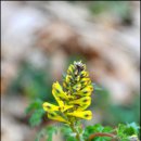 산골마을 민박 이미지