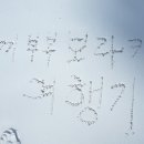 세부퍼시픽. 아스토리아호텔. 보라카이호텔추천. 보라카이 스테이크하우스. 아스토리아 수영장. 수산시장