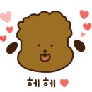 영희랑 바둑이랑 애견미용실 이미지