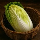 에스에스헬스장 이미지