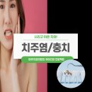 대신치과기공소 네이버블로그