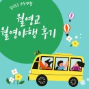 용상동_용상동_마을진입로_002 | 안동 월영야행 후기 [월영교 축제 후기]