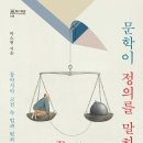[도서정보] 문학이 정의를 말하다 / 박소현 / 성균관대학교출판부 이미지