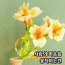 단비카페