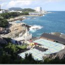 황제 행정사사무소 이미지