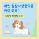 상암동물병원 이미지