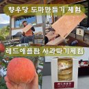 느림팜 | 경남 밀양 농촌체험 향우당 도마만들기 레드애플팜 사과따기 사과케이크 만들기