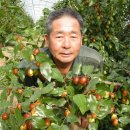 절골농장 이미지