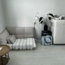 스테이제부(3) 이미지