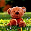 열매한의원 이미지