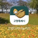 마호가니 롯데아울렛고양점