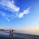 오션메디칼 이미지