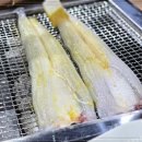 금빛장어 이미지