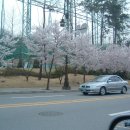 월드컵경기장 3가 4 이미지