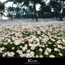 전북화원 이미지