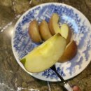 반쪽농부 TV