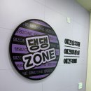 댕댕존 | 인천 영종도 주말애견카페 댕댕존 애견유치원