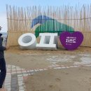 신안오토 이미지