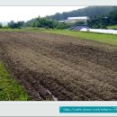 옥터농장 이미지