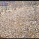 용추보건진료소 이미지