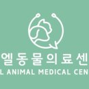 뉴엘동물의료센터 이미지