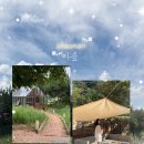 초록마을 남창점 | 천안 핫플 • 도심 속 사계절 뷰를 볼 수 있는 샤스타데이지 명소 • 카페 이숲 방문 후기