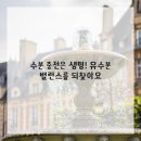 브이의원 이미지